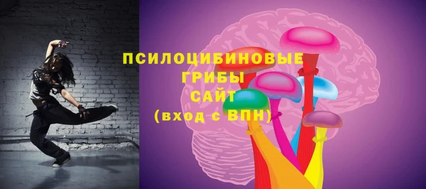 дживик Заводоуковск