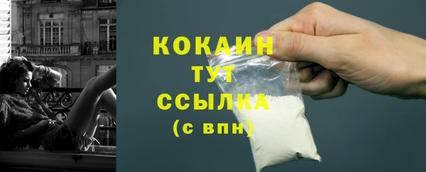дживик Заводоуковск