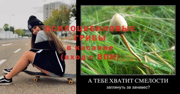 МДПВ Елабуга