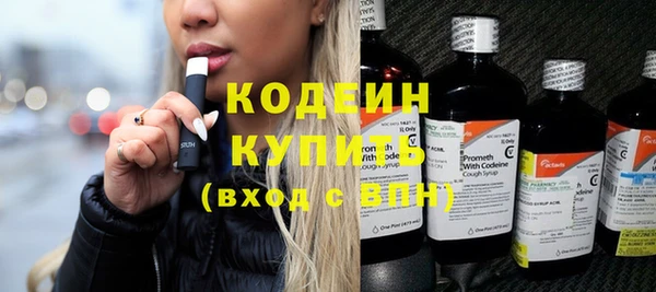 дживик Заводоуковск